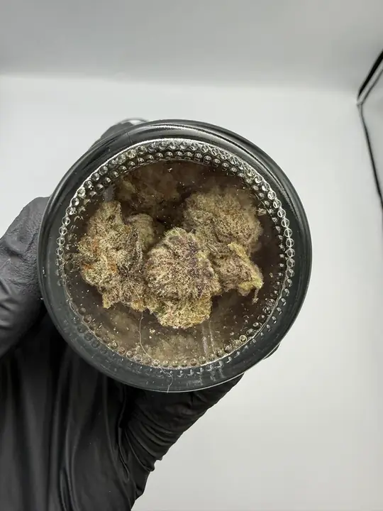 THCCarts Alien Labs & Connected Chrome 10G
