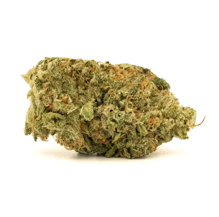 AMA Cannacotta