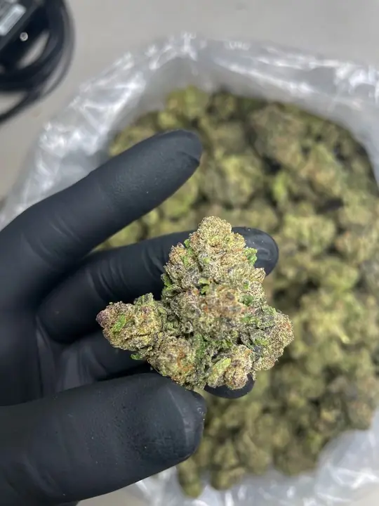 THCCarts Blue Cherriez ML Strain