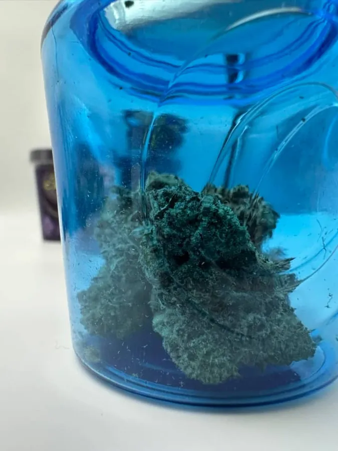 THCCarts Cookies The Caviar Collection Cannabis Flower