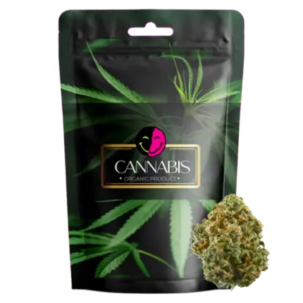 Fryd Gary Payton Weed Strain