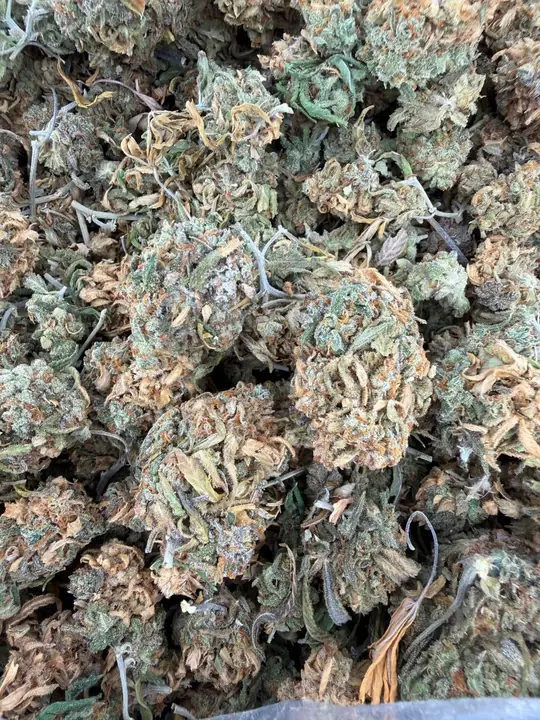 THCCarts Green Crack Indoor