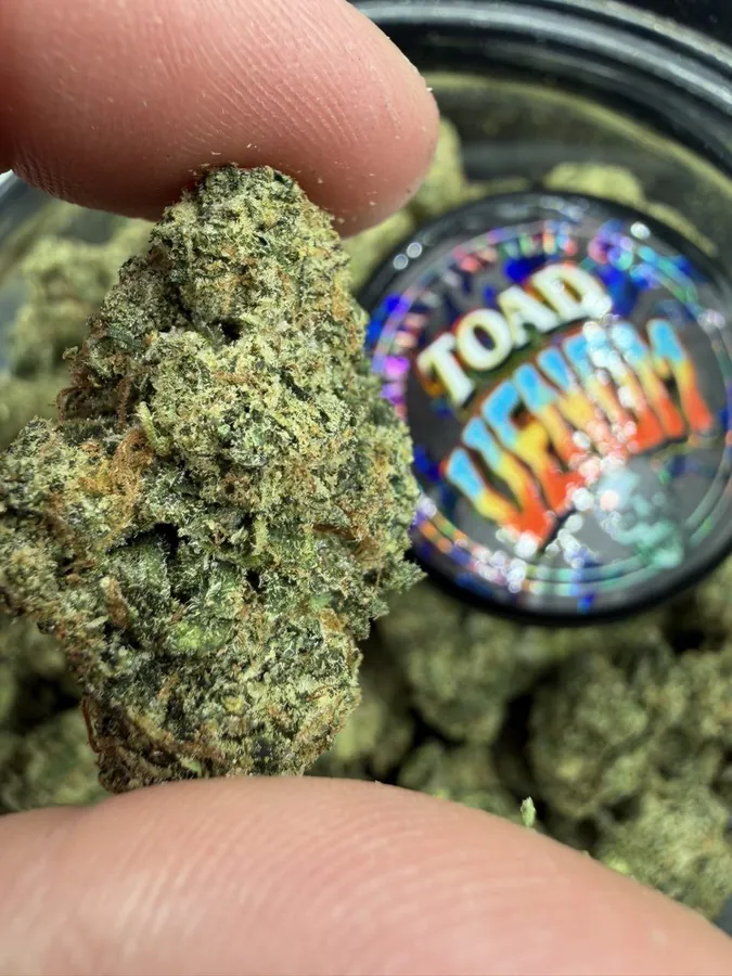 THCCarts HEAVY HITTING LINE UP OF TOAD VENOM AND ZKITTLEZ CROSSES