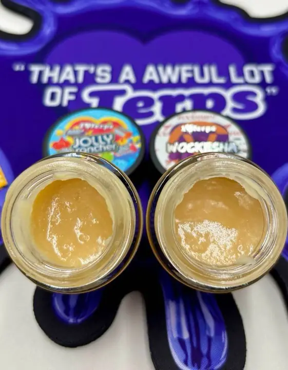 THCCarts I Love Terps Wax Double Cup Edition