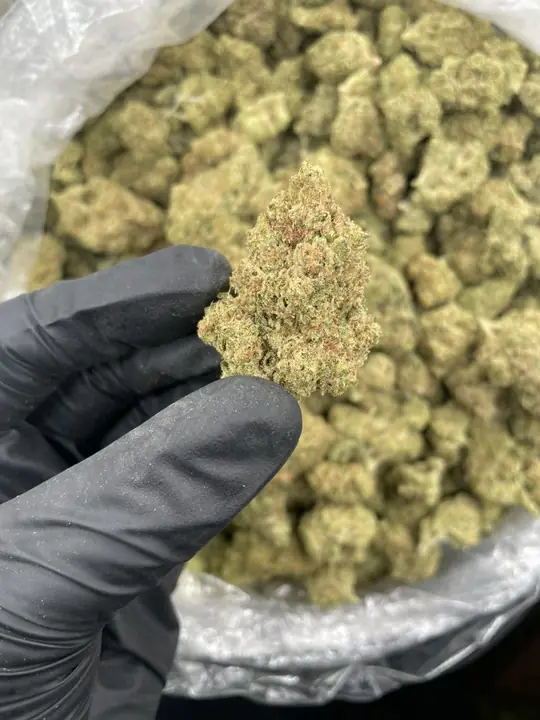 THCCarts Jungle Cookies Strain