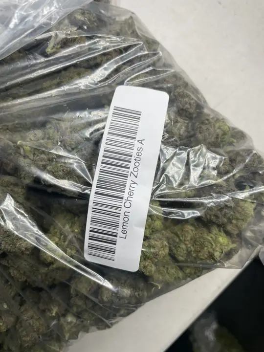 THCCarts Lemon Cherry Zooties A