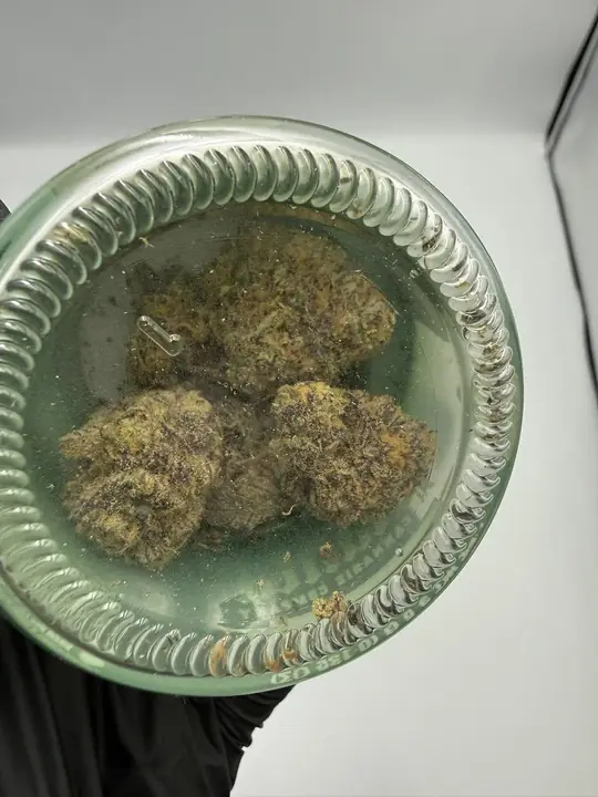 THCCarts Planta Cannabis Company Flower 3.5G