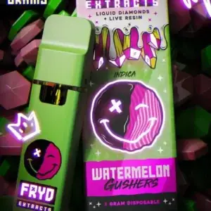 Fryd Watermelon Gushers Fryd Disposable