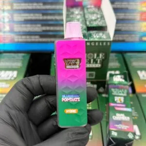 THCCarts Whole Melt Extracts Phase 5 Vol 2 2G Disposable